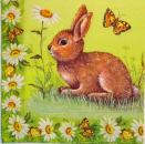 044 Rabbits:  natürlich - 3 ply - Atelier